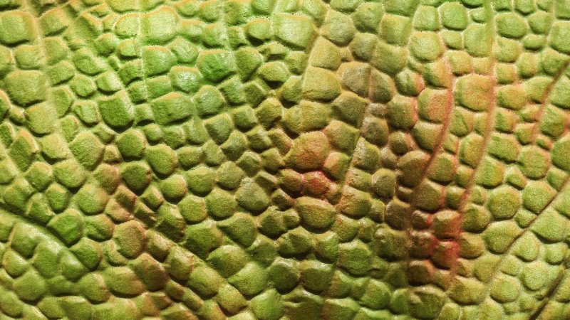 Кожа динозавра текстура