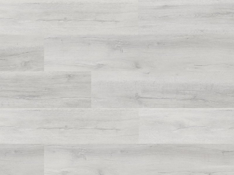 Перго дуб Монза