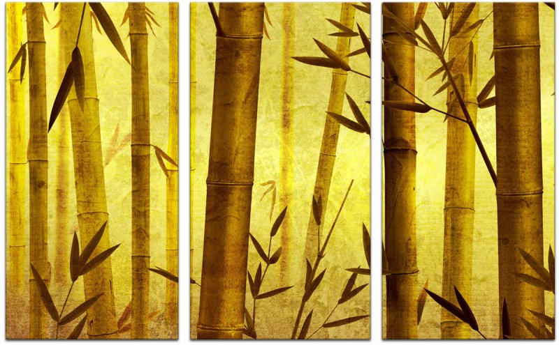 Бамбук японский Ориенталь