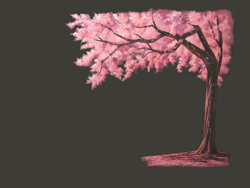 Сакура референс дерево