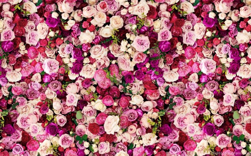 Фон в мелкий цветочек