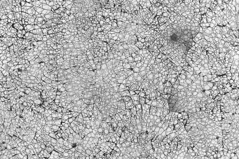 Потрескавшаяся краска