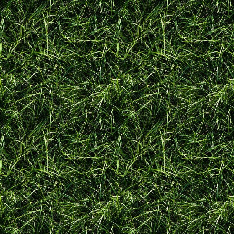 Бесшовная текстура травы архикад