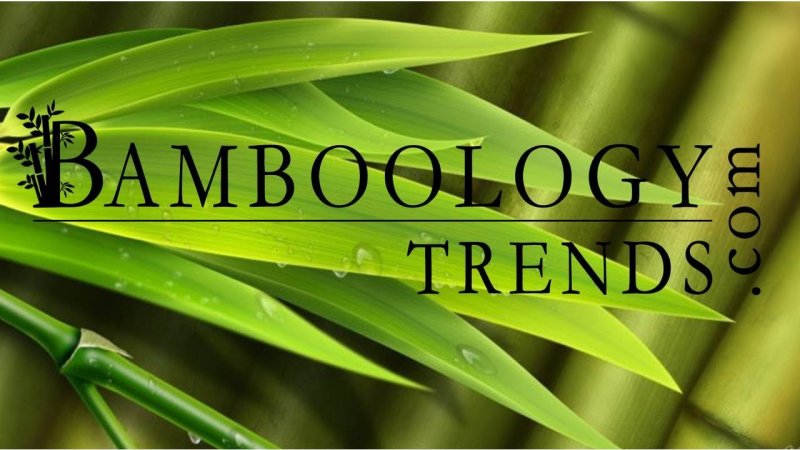 Листья тростника