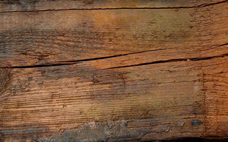 Фактура дерева