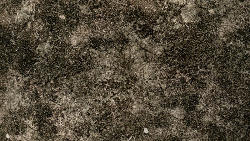 Текстура земли