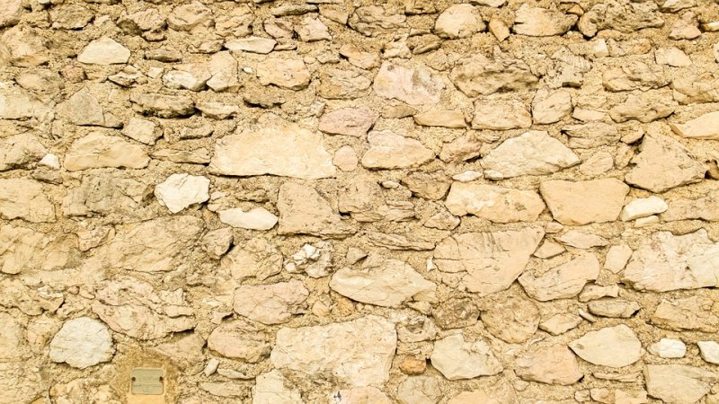 Известняк-ракушечник стена