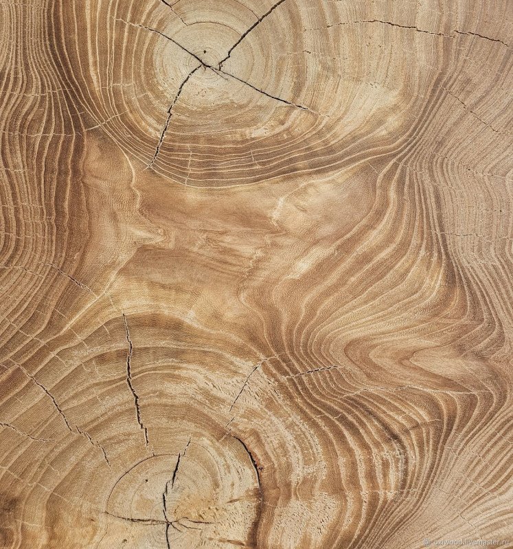 Шпон карагач вяз