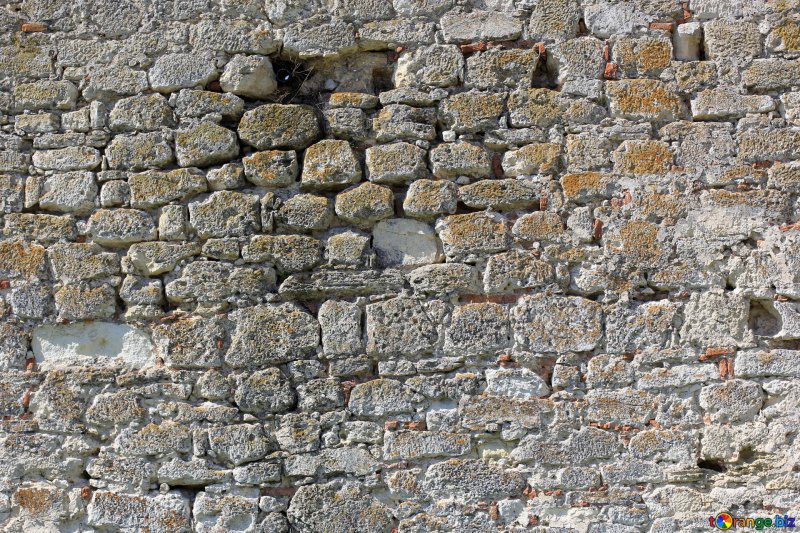 Стена замка