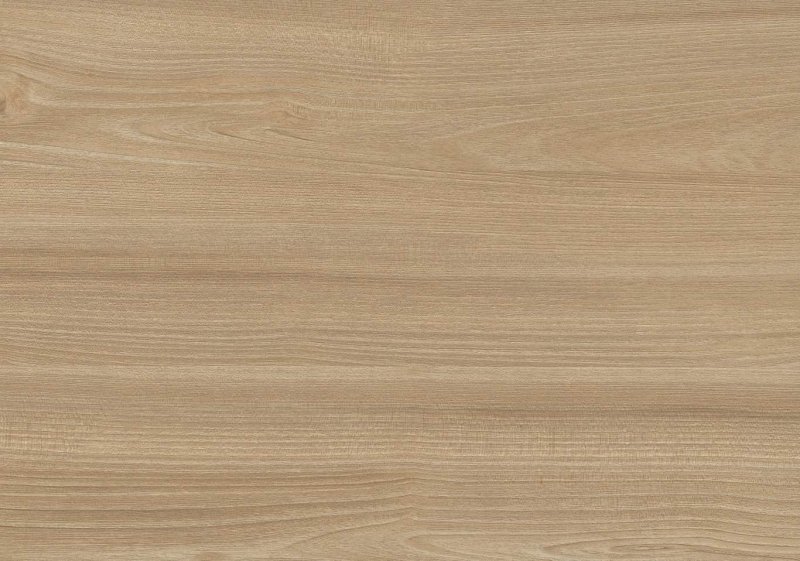 H3860 st9 клен сахарный шампань