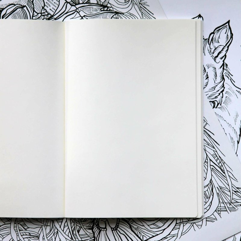 Блокнот с чистыми листами