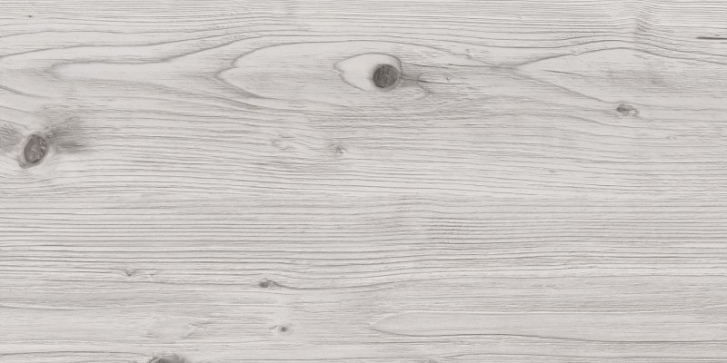 Сосна Бискайская столешница Союз