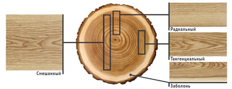 Радиальный и тангенциальный распил
