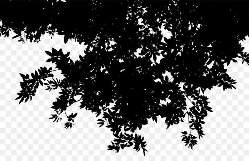 Листва силуэт
