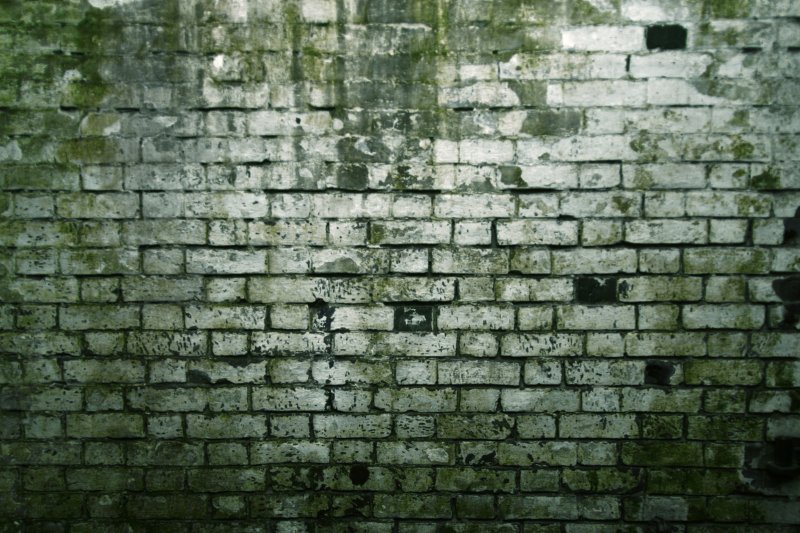 Текстура стены