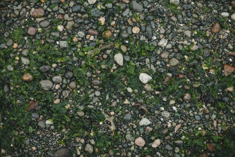 Почва камни