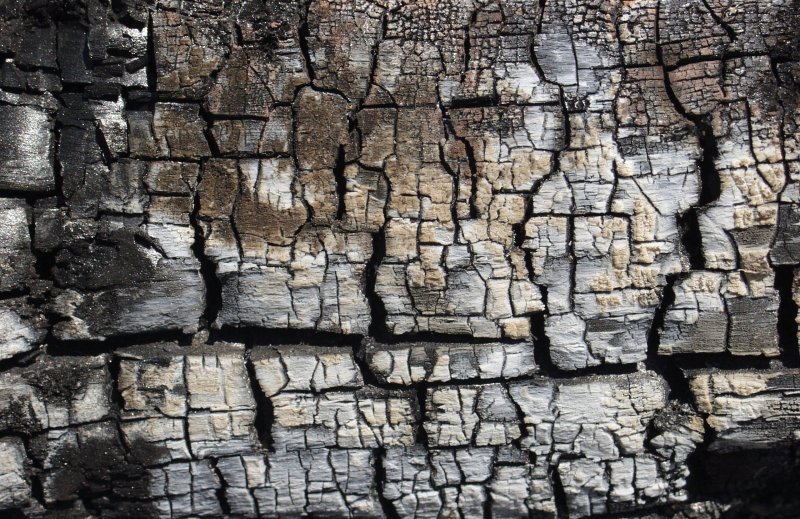 Текстура Горелого дерева