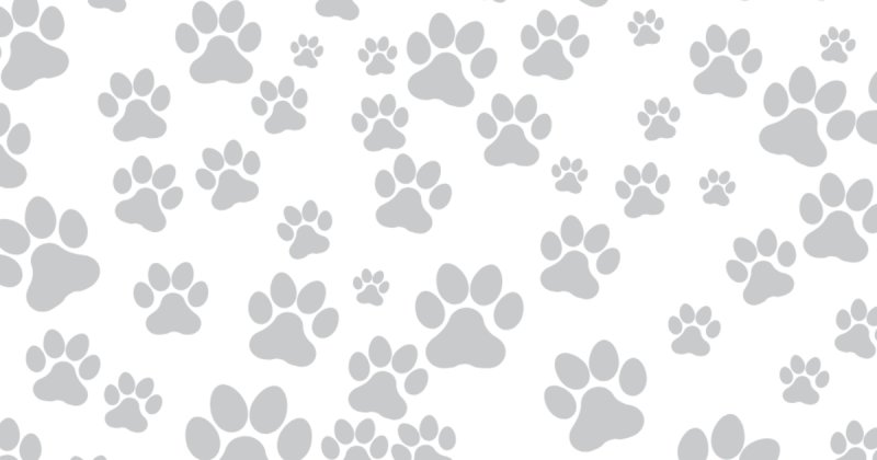 Текстура лапки