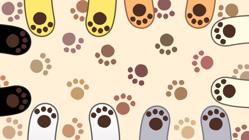 Фон лапки