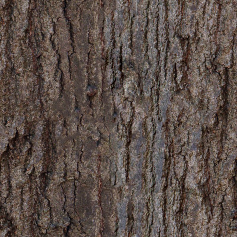 Кора пихты текстура