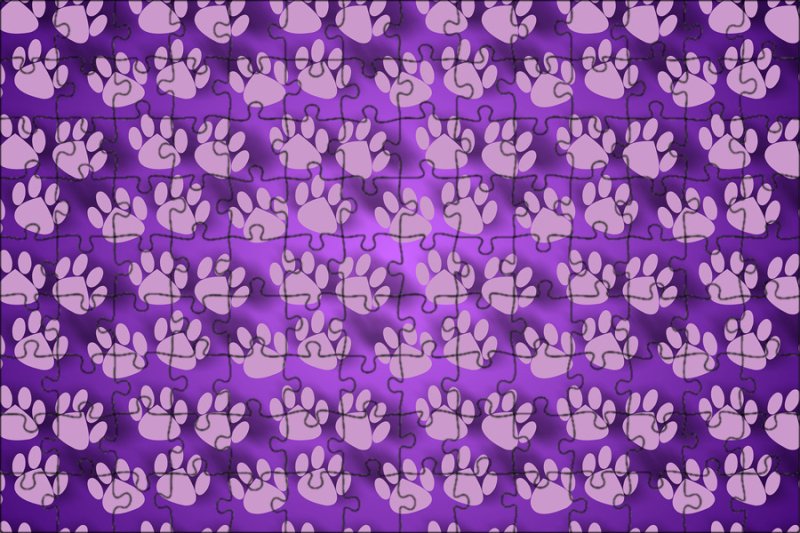 Паттерны лапки