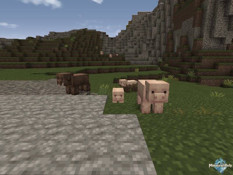 Ресурс пак Дольфи