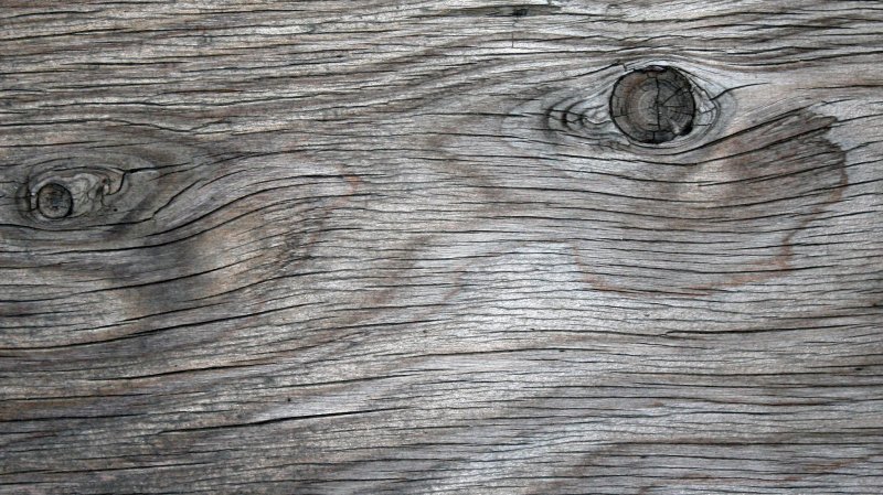 Фактура дерева