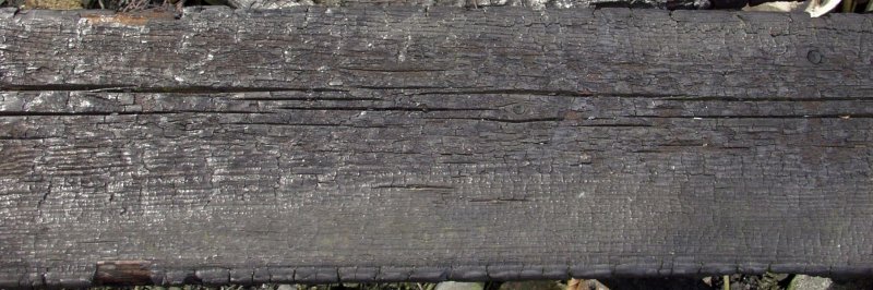 Обугленное дерево