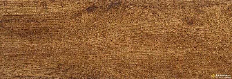 Дуб золотой Скиф