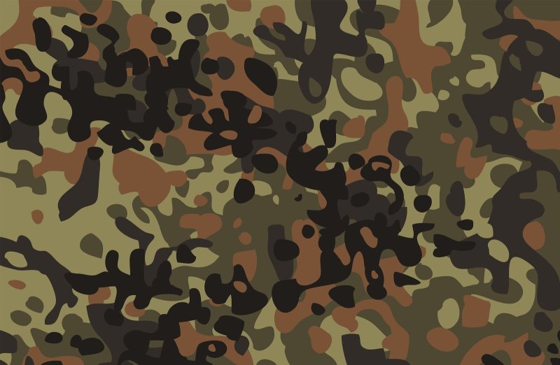 Флектарн Камо