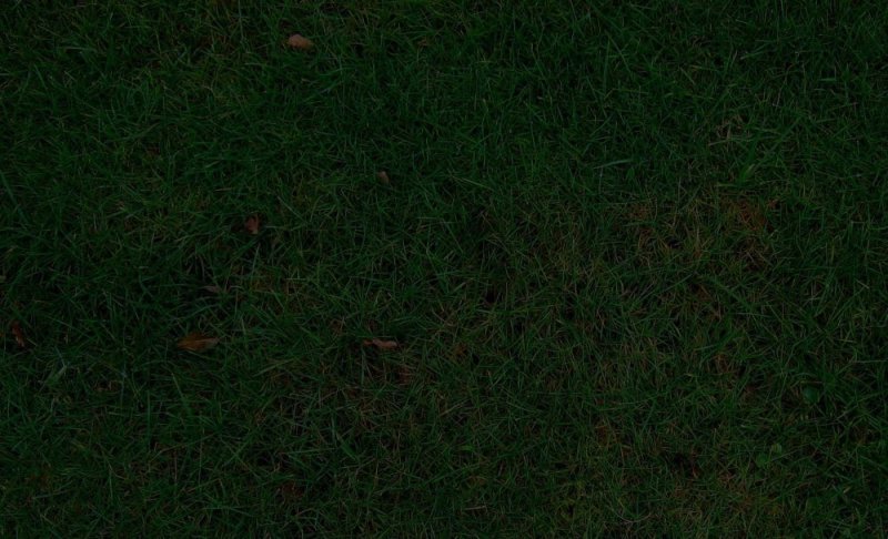 Текстура травы Графика