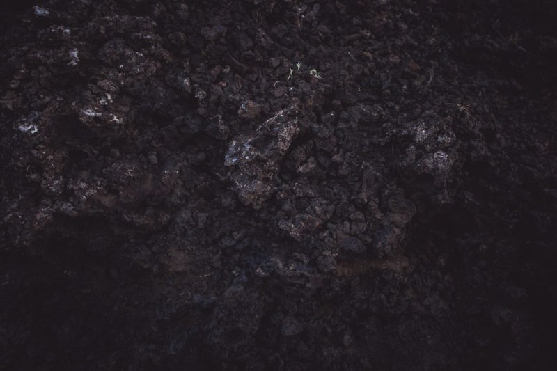 Гарь текстура