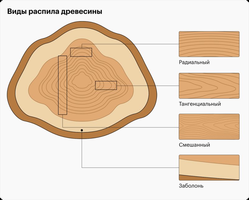 Радиальный и тангенциальный распил древесины
