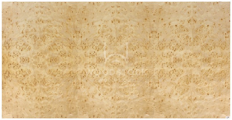 Корень тополя шпон