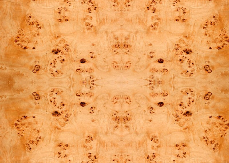 Шпон капового тополя