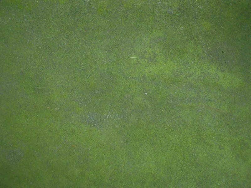 Зеленое железо текстура