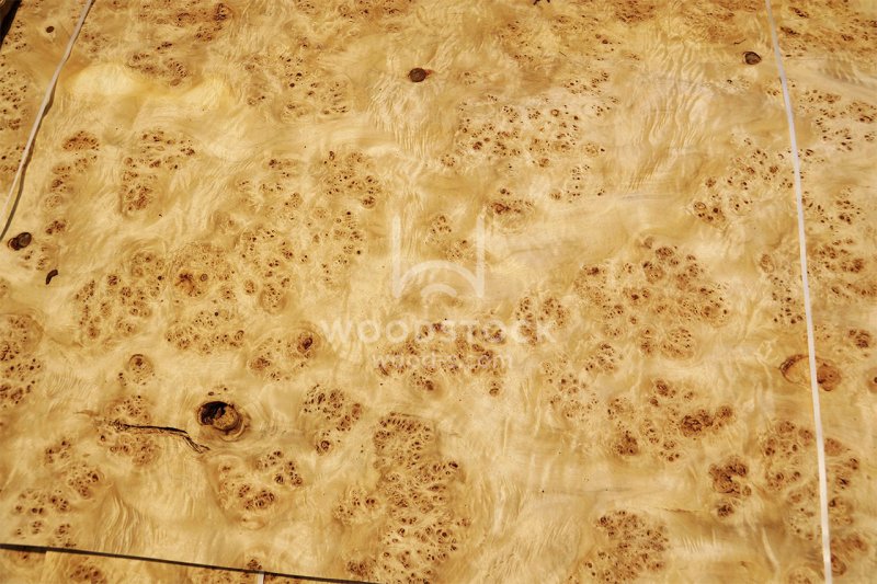 Шпон карельской березы