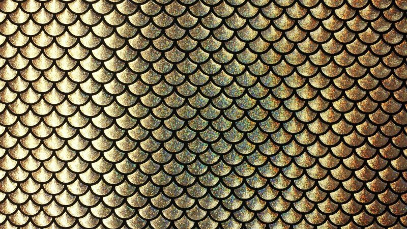 «Драконья „чешуя“» rjkmxeuf