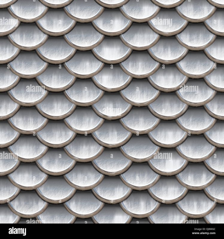 Чешуя дракона