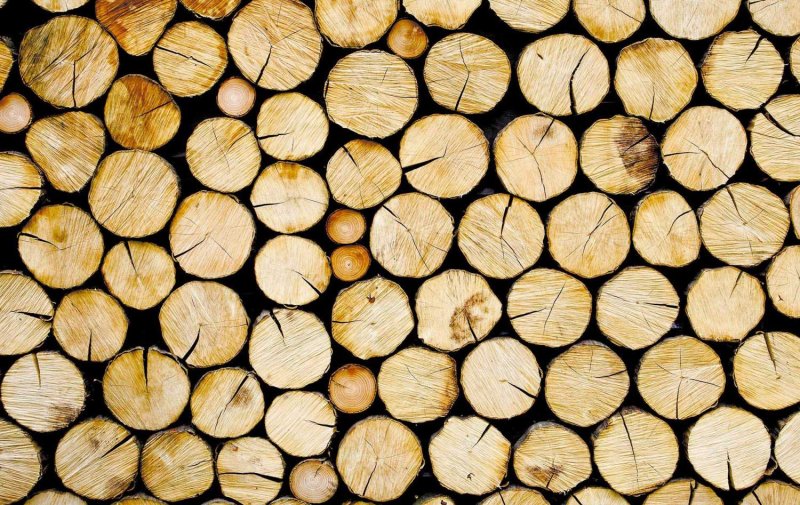 Сруб дерева