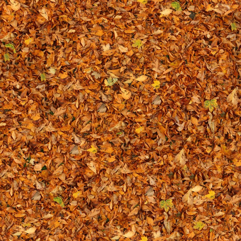 Текстура листвы