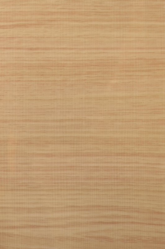 Клен сикамора древесина