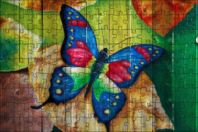 Бабочка из красок