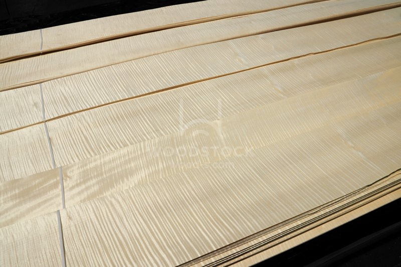 Шпон клён сикамора 09.s.001