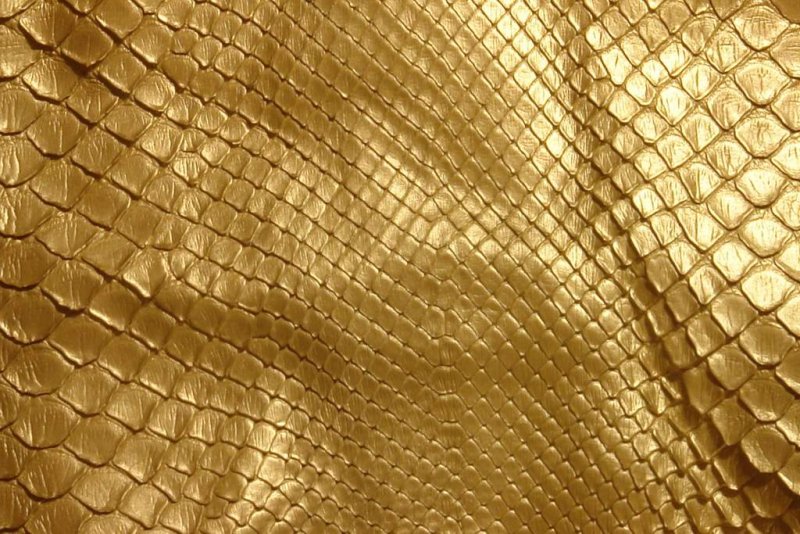 Змеиная чешуя Альфа