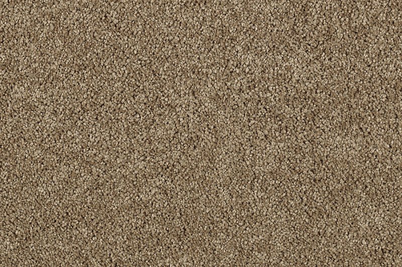 Пробковое покрытие фактура