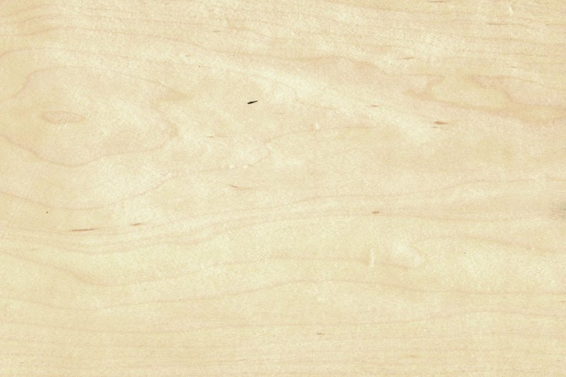 Клен сикамора шпон