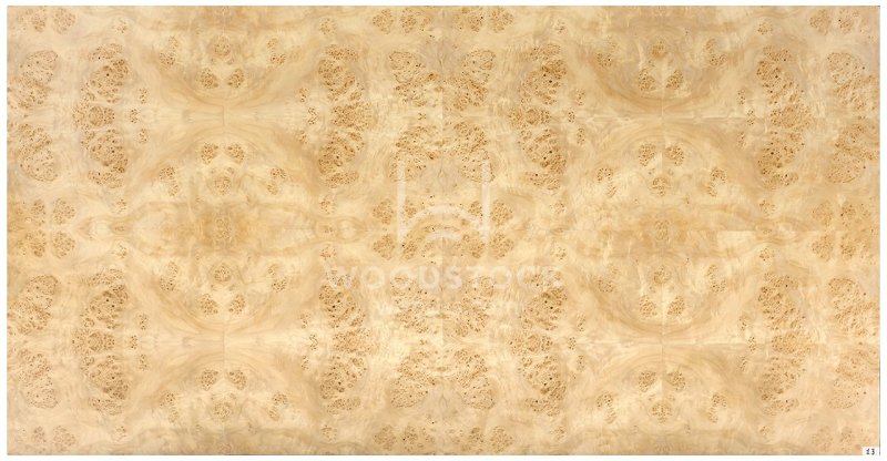 Шпон корень ясеня