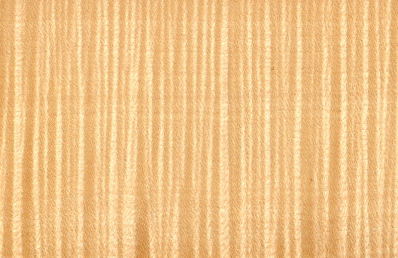 Шпон сикамора