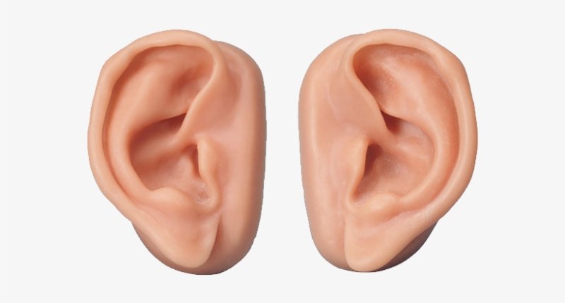 Ухо без фона